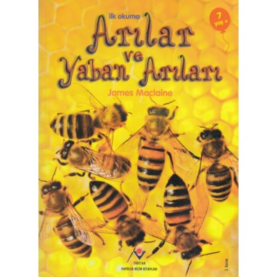 İlk Okuma - Arılar ve Yaban Arıları İlk Okuma - Arılar ve Yaban Arıları