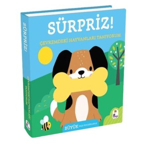 Sürpriz! - Çevremdeki Hayvanları Tanıyorum