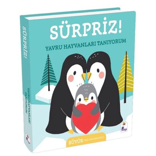 Sürpriz! - Yavru Hayvanları Tanıyorum Sürpriz! - Yavru Hayvanları Tanıyorum