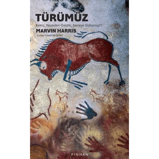 Türümüz: Kimiz, Nereden Geldik, Nereye Gidiyoruz? Türümüz: Kimiz, Nereden Geldik, Nereye Gidiyoruz?